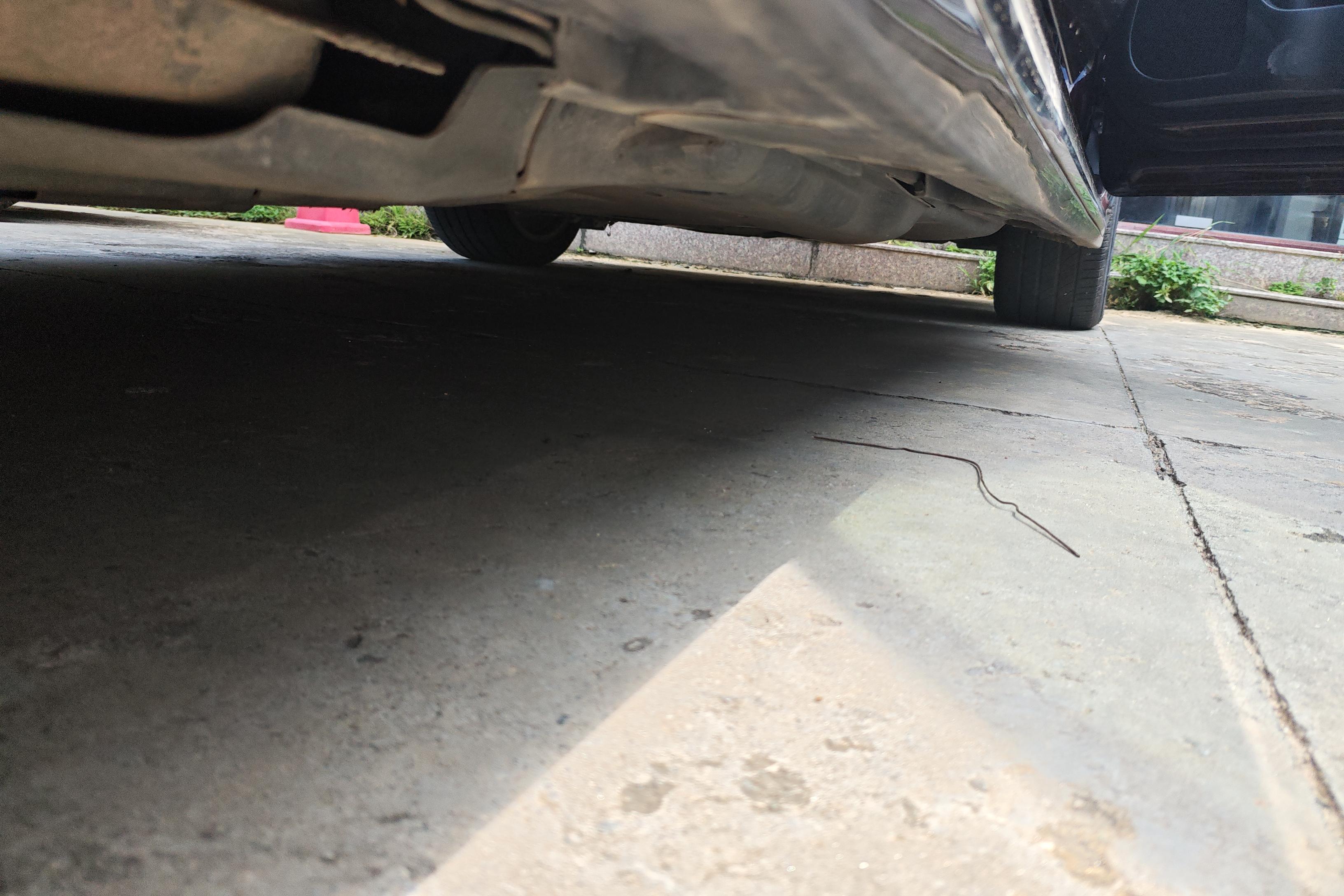 丰田皇冠 2018款 2.0T 自动 后驱 运动版 (国Ⅴ) 