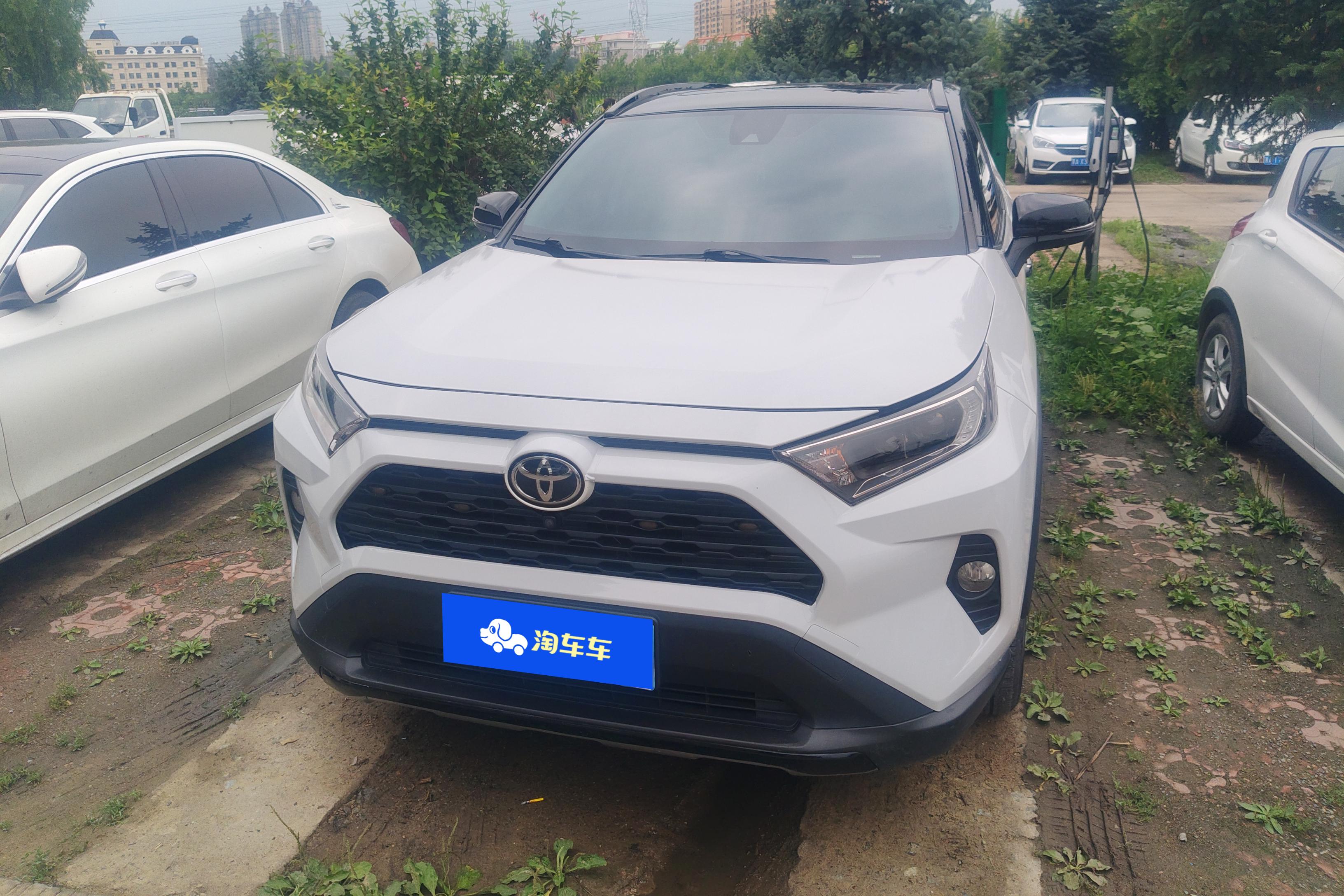 丰田RAV4 2020款 2.0L 自动 四驱 风尚版 (国Ⅵ) 